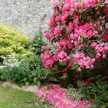 Les Coquelicots Proche Hébergement de vacances Paimpol